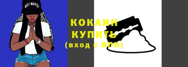 соль ск Няндома