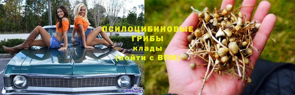 МДПВ Вязники