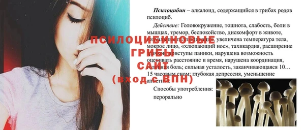 соль ск Няндома