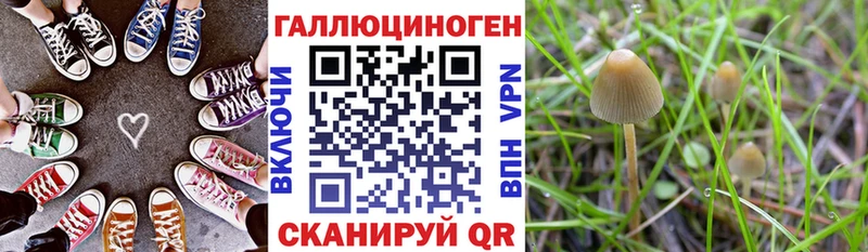 Псилоцибиновые грибы мицелий  Почеп 