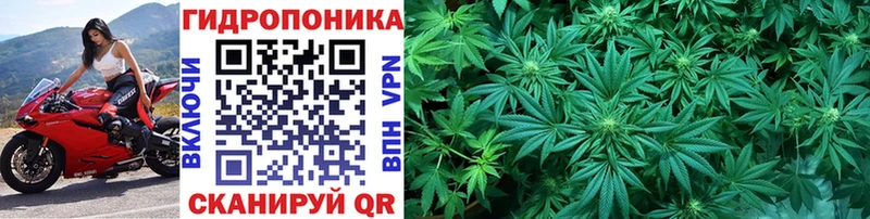 дарнет шоп  Почеп  Марихуана план 